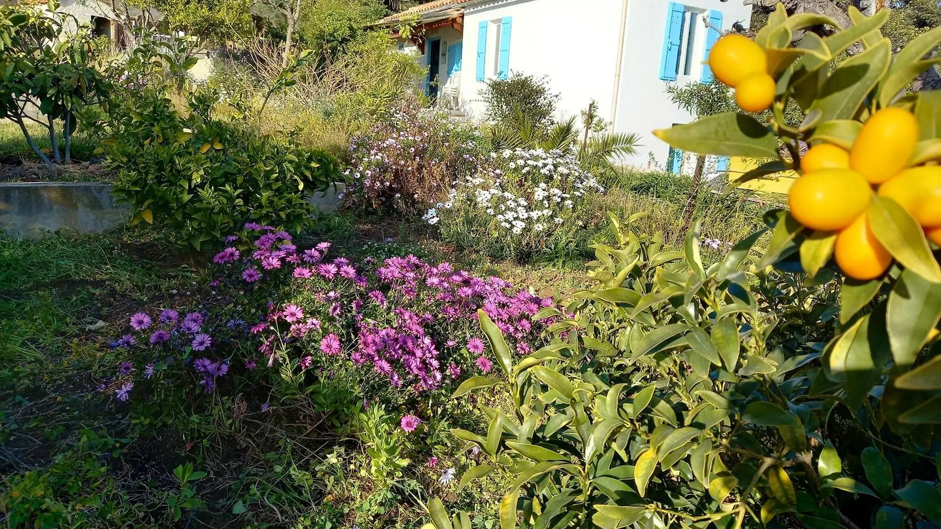Hébergement de vacances Maison 4 faces a la mer Le Lavandou